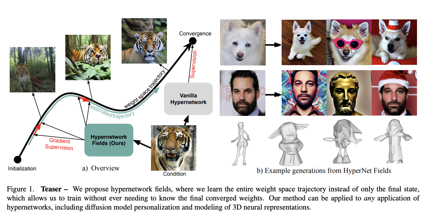 hypernetwork-fields:-efficient-gradient-driven-training-for-scalable-neural-network-optimization