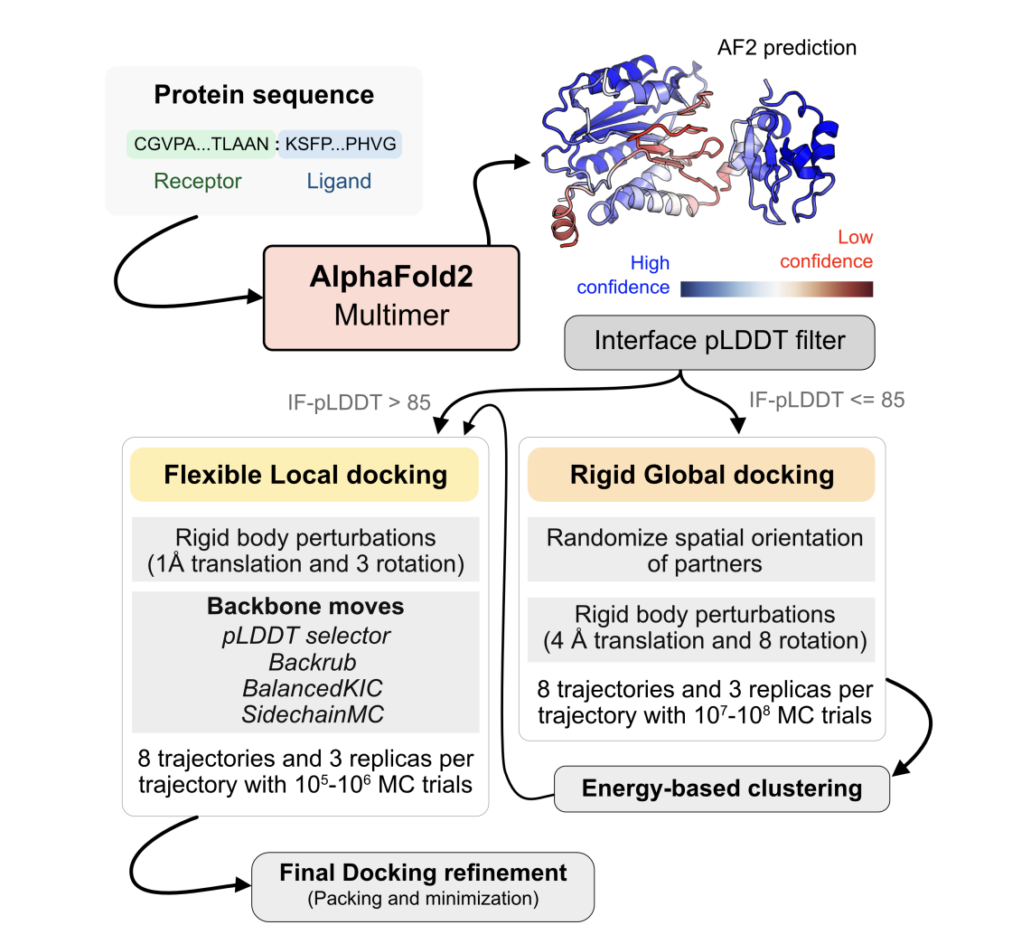 enhancing-protein-docking-with-alphared:-a-balanced-approach-to-protein-complex-prediction