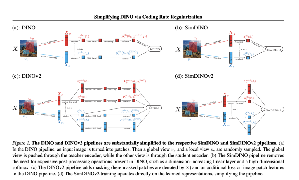 simplifying-self-supervised-vision:-how-coding-rate-regularization-transforms-dino-&-dinov2