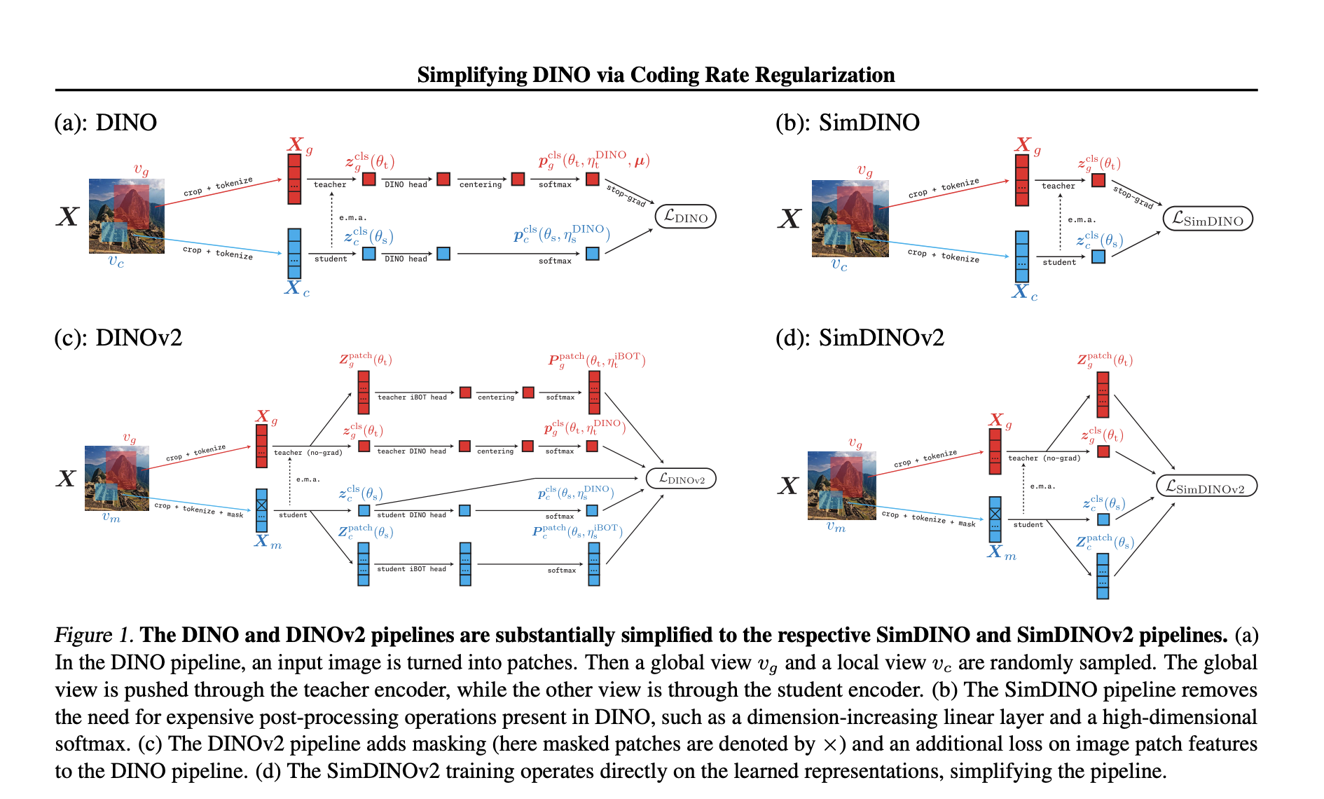 simplifying-self-supervised-vision:-how-coding-rate-regularization-transforms-dino-&-dinov2