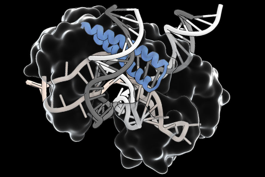 an-ancient-rna-guided-system-could-simplify-delivery-of-gene-editing-therapies