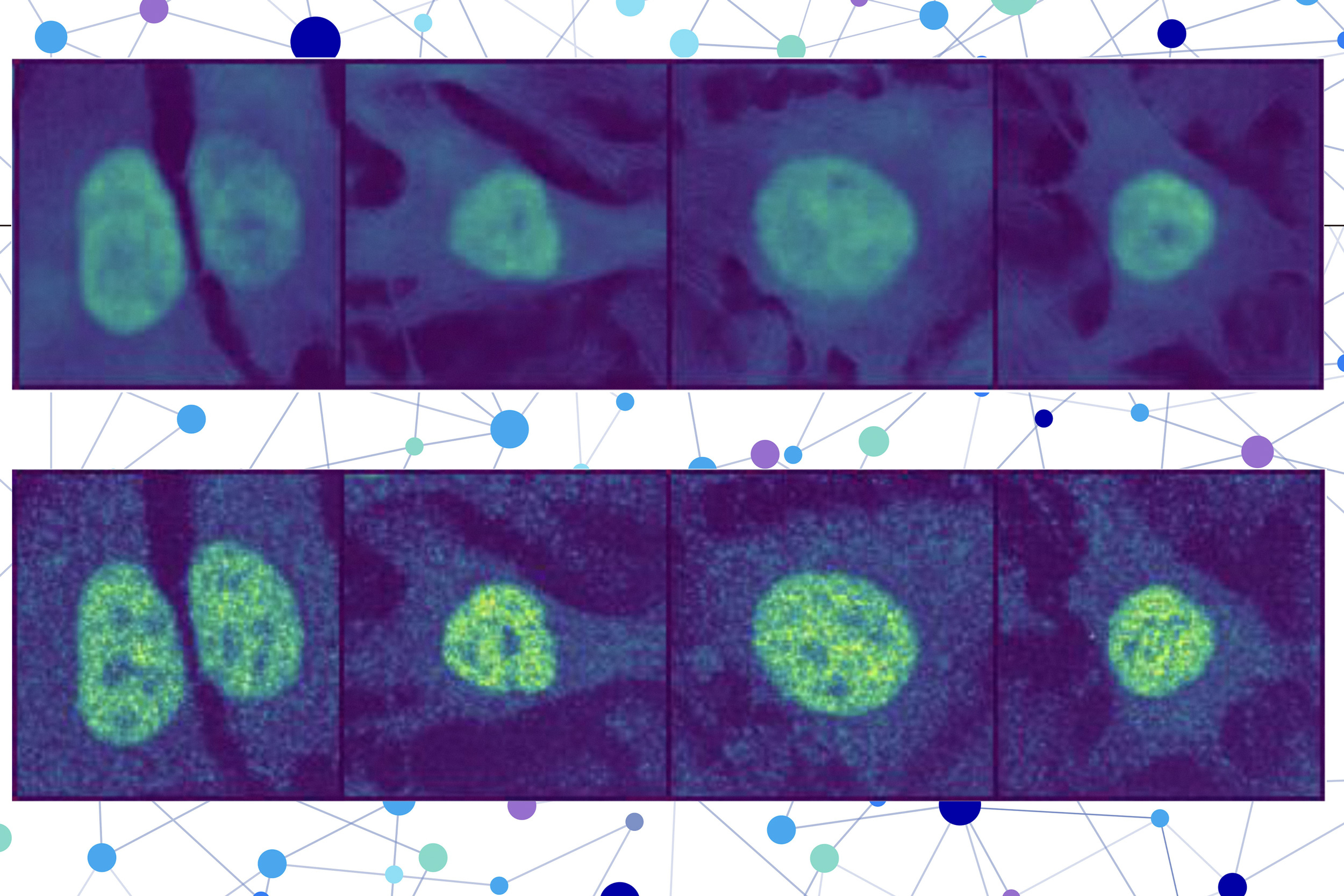 with-ai,-researchers-predict-the-location-of-virtually-any-protein-within-a-human-cell