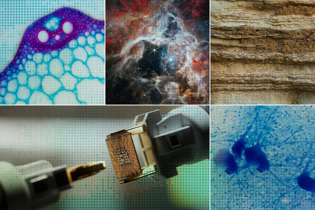 accelerating-scientific-discovery-with-ai