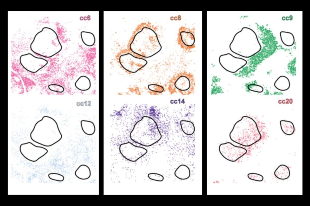 new-ai-system-uncovers-hidden-cell-subtypes,-boosts-precision-medicine