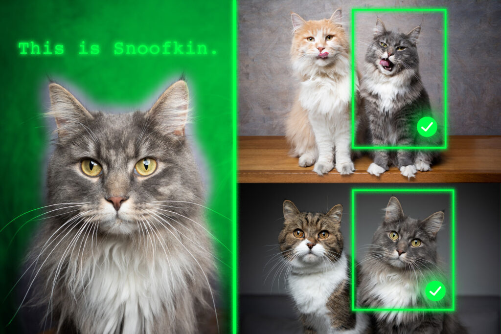 method-teaches-generative-ai-models-to-locate-personalized-objects