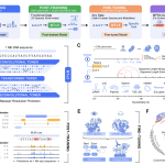 instadeep-introduces-nucleotide-transformer-v3-(ntv3):-a-new-multi-species-genomics-foundation-model,-designed-for-1-mb-context-lengths-at-single-nucleotide-resolution