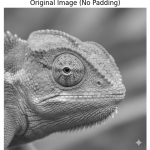 the-statistical-cost-of-zero-padding-in-convolutional-neural-networks-(cnns)