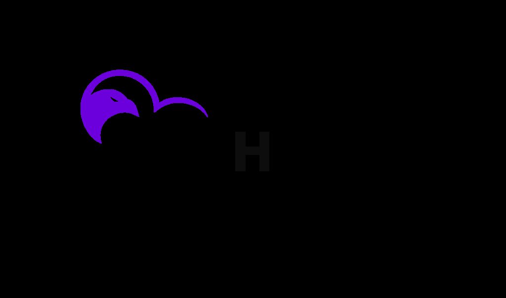 skyhawk-security-appoints-jason-schaaf-as-chief-revenue-officer