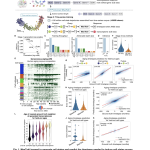 meet-maxtoki:-the-ai-that-predicts-how-your-cells-age-—-and-what-to-do-about-it