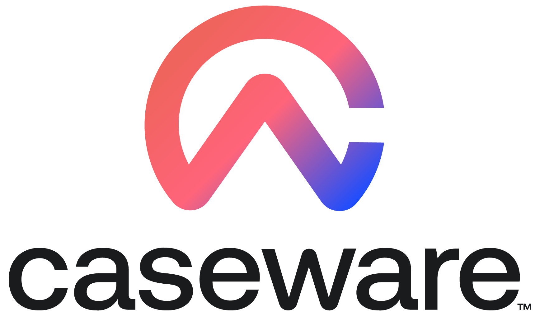 caseware-netherlands-launches-financial-reporting-visualization-agent-powered-by-verity