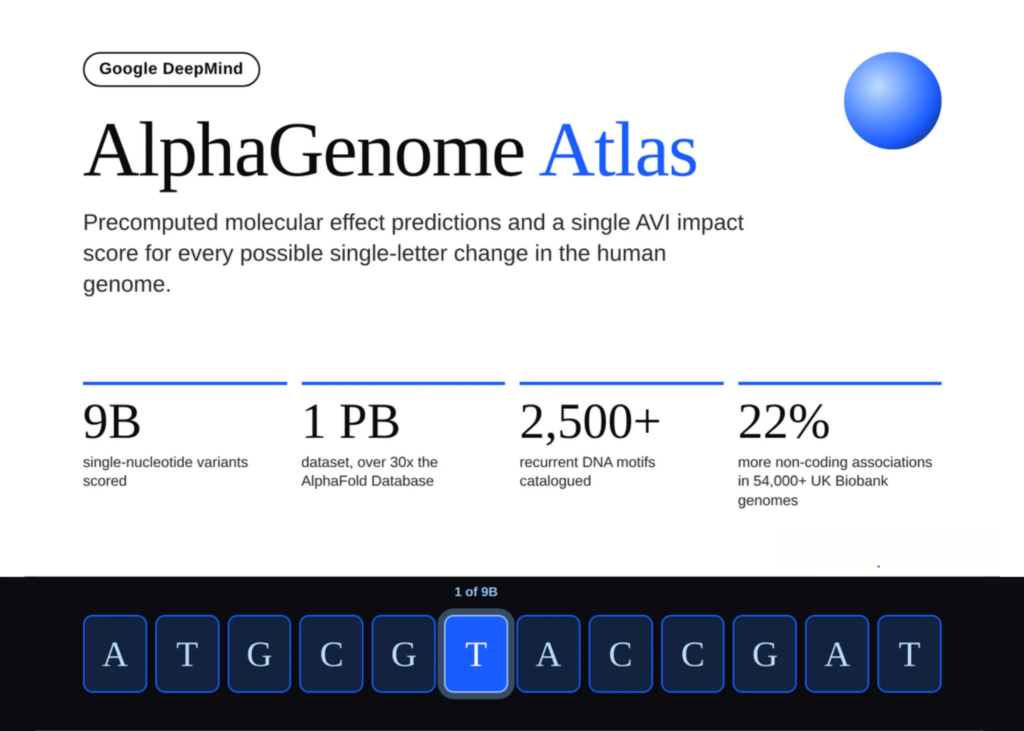 google-deepmind-releases-alphagenome-atlas-with-precomputed-molecular-effect-predictions-and-avi-scores-for-9-billion-human-dna-variants