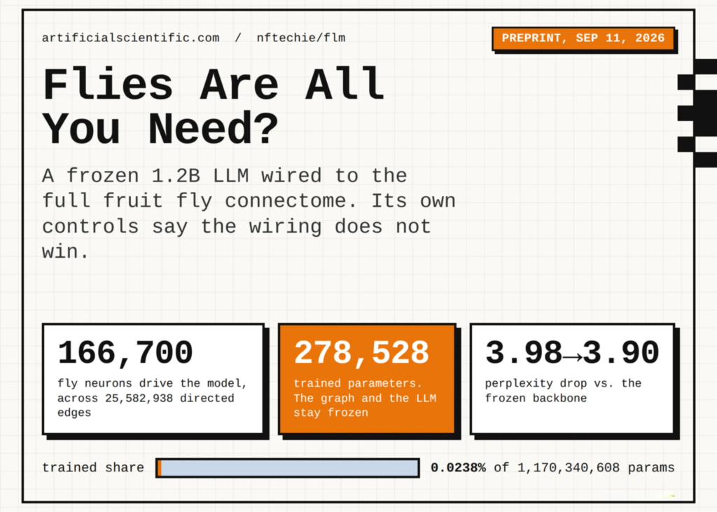 fly-language-model-(flm)-wires-the-full-fruit-fly-connectome-into-a-frozen-1.2b-llm,-and-its-own-controls-show-the-wiring-does-not-help